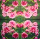 800 Rosen - 3-lagig - Caspari - Isabelle de Borchgrave